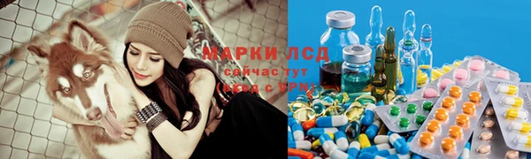 экстази Бородино