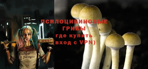 амф Бронницы