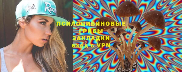 амф Бронницы