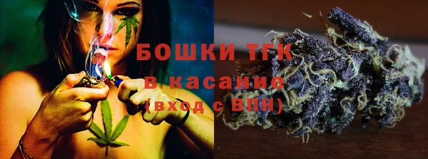 амф Бронницы