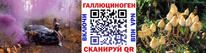Псилоцибиновые грибы GOLDEN TEACHER Вилюйск